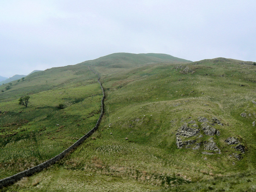 Common Fell Common Fell